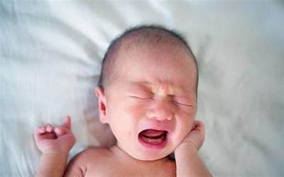 出生的婴儿总是哭