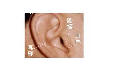 耳朵风水学